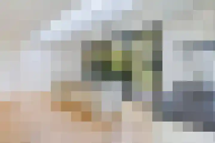 Sportlaan 189 Den Haag thumbnail 13