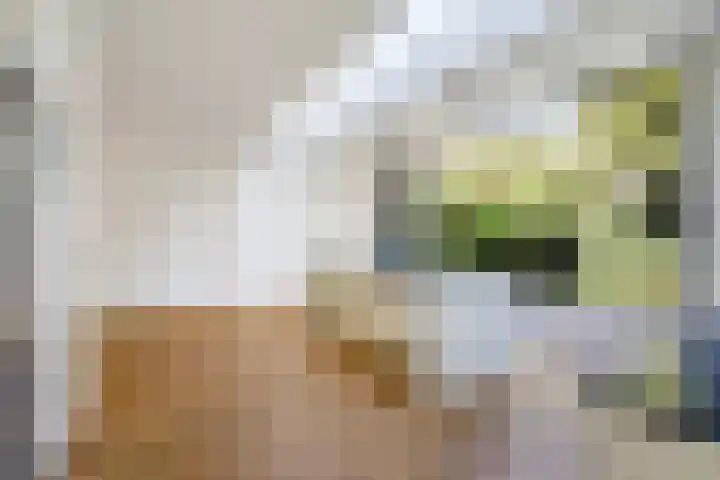 Sportlaan 189 Den Haag thumbnail 15