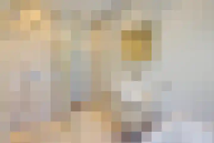 Sportlaan 189 Den Haag thumbnail 33