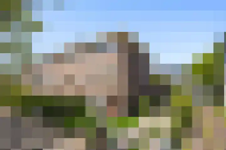 Sportlaan 189 Den Haag thumbnail 5