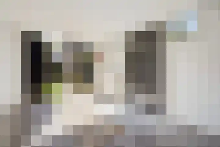 Sportlaan 189 Den Haag thumbnail 57