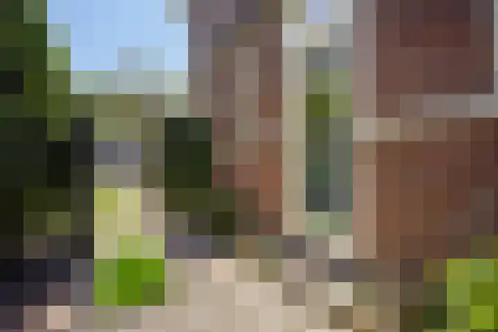 Sportlaan 189 Den Haag thumbnail 58