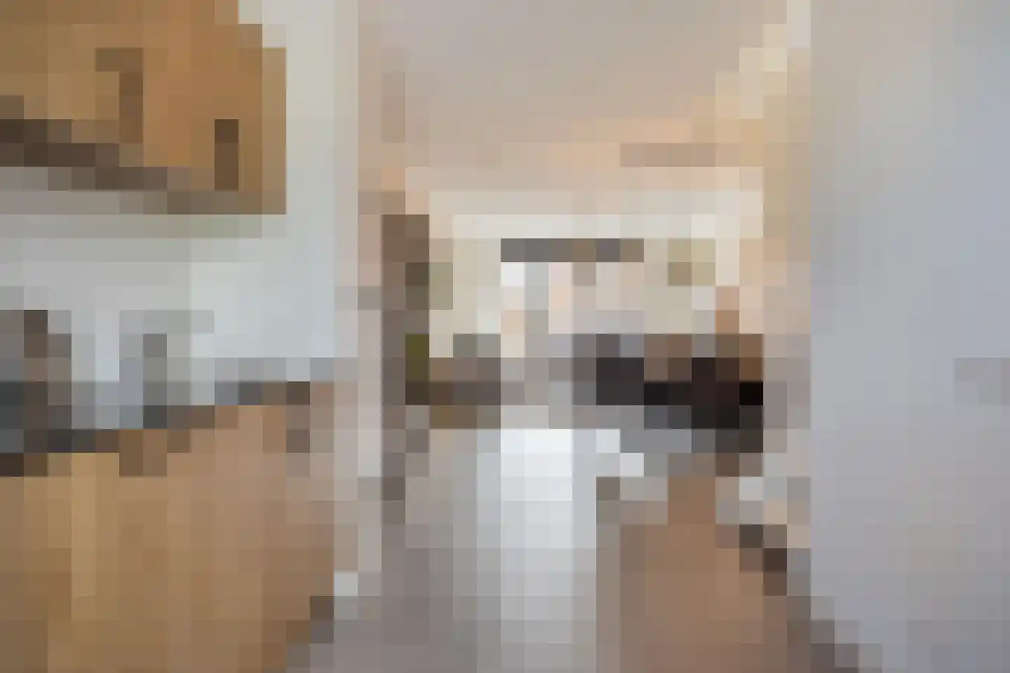 Sportlaan 19 Oss thumbnail 7