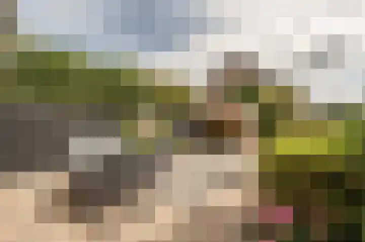 Sportlaan 19 Oud-Beijerland thumbnail 4