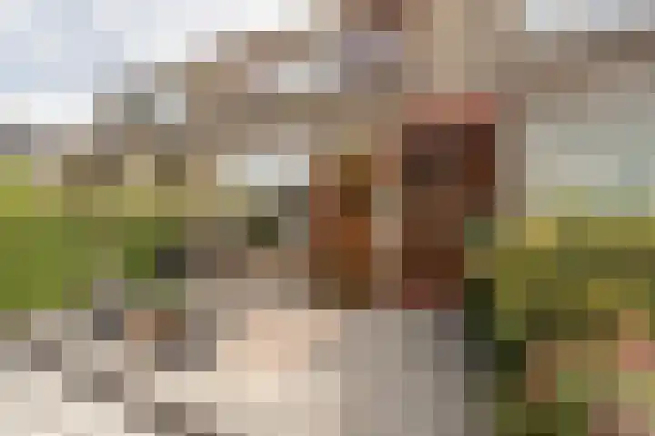 Sportlaan 19 Oud-Beijerland thumbnail 7