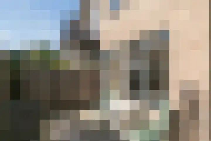 Sportlaan 2 b Schoorl thumbnail 13