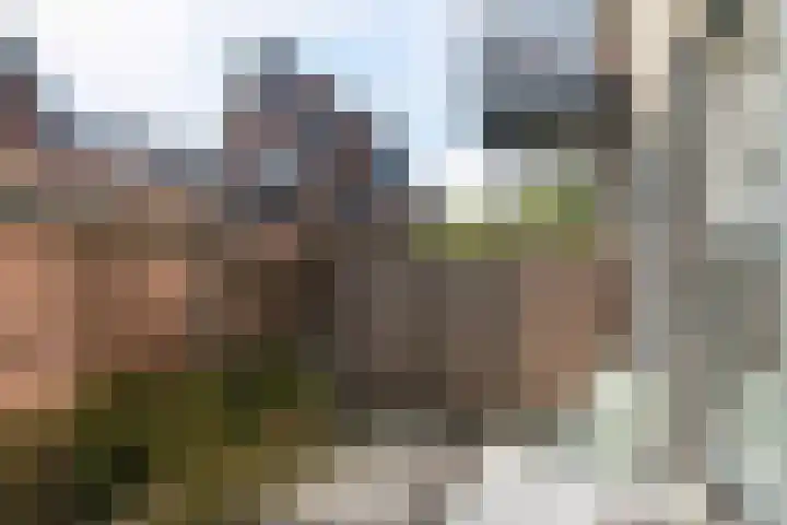 Sportlaan 2 b Schoorl thumbnail 14