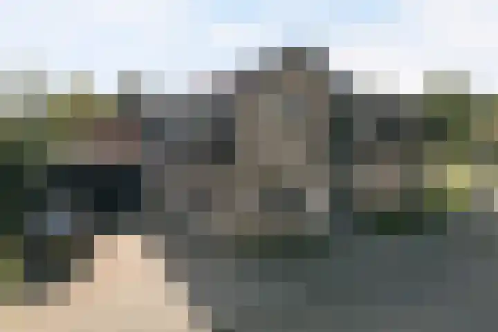 Sportlaan 2 b Schoorl thumbnail 18