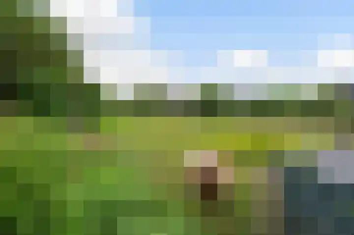 Sportlaan 2 Delden thumbnail 34