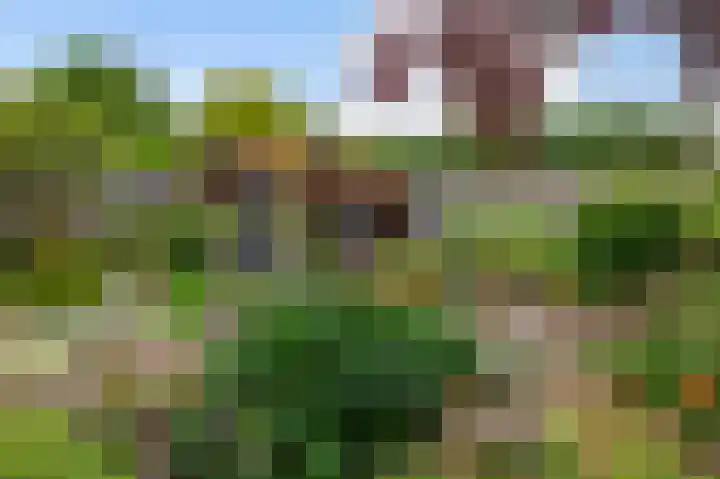 Sportlaan 2 Delden thumbnail 4