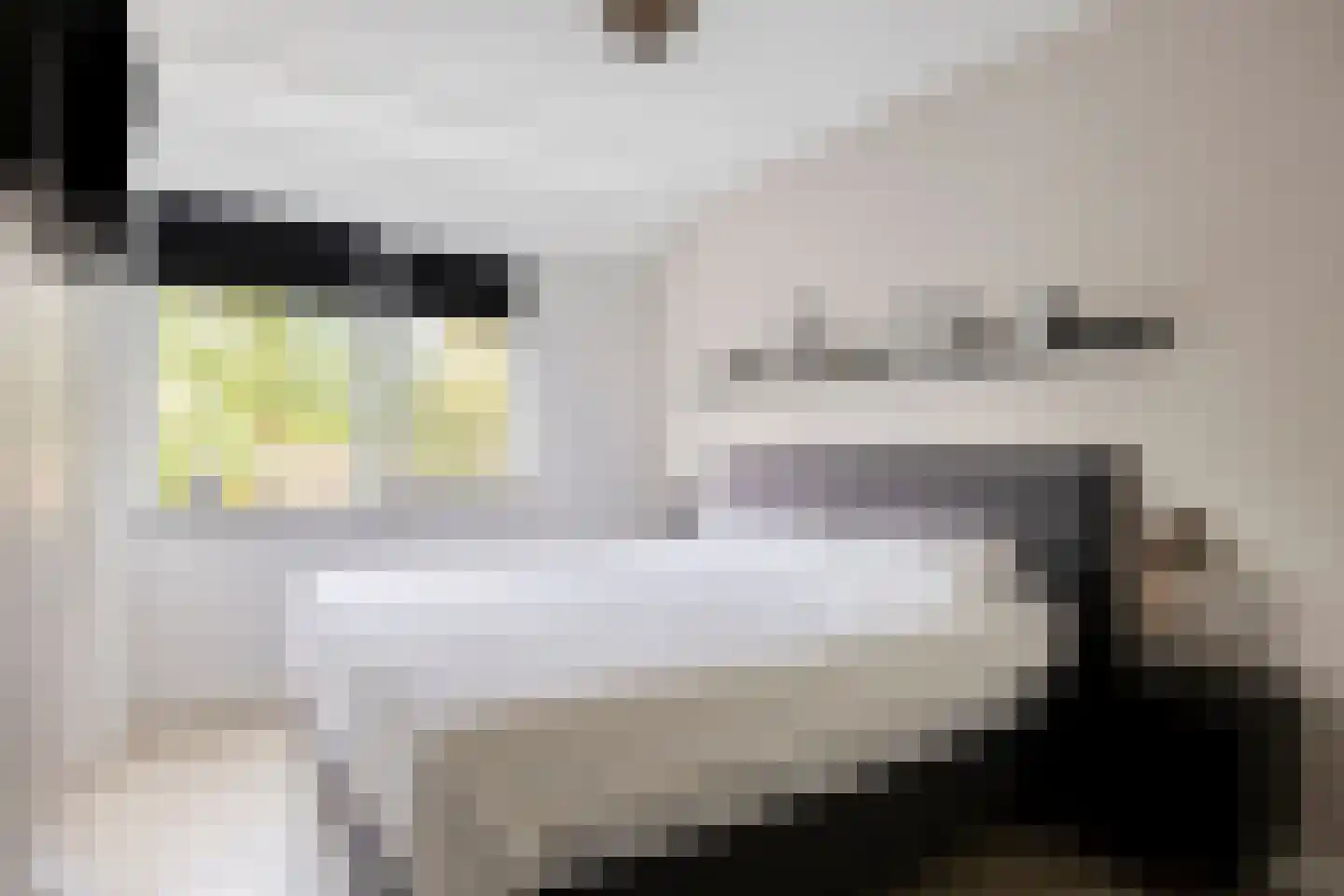 Sportlaan 2 e Gemert thumbnail 16