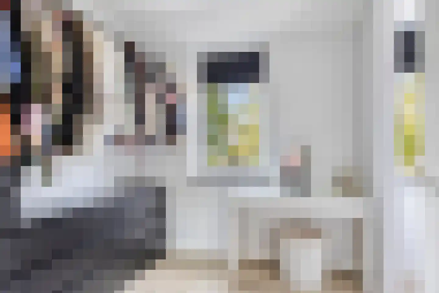 Sportlaan 2 e Gemert thumbnail 18