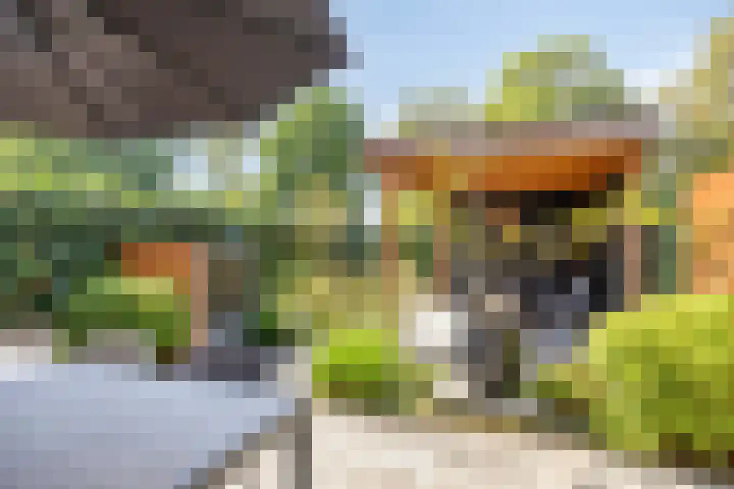 Sportlaan 2 e Gemert thumbnail 4