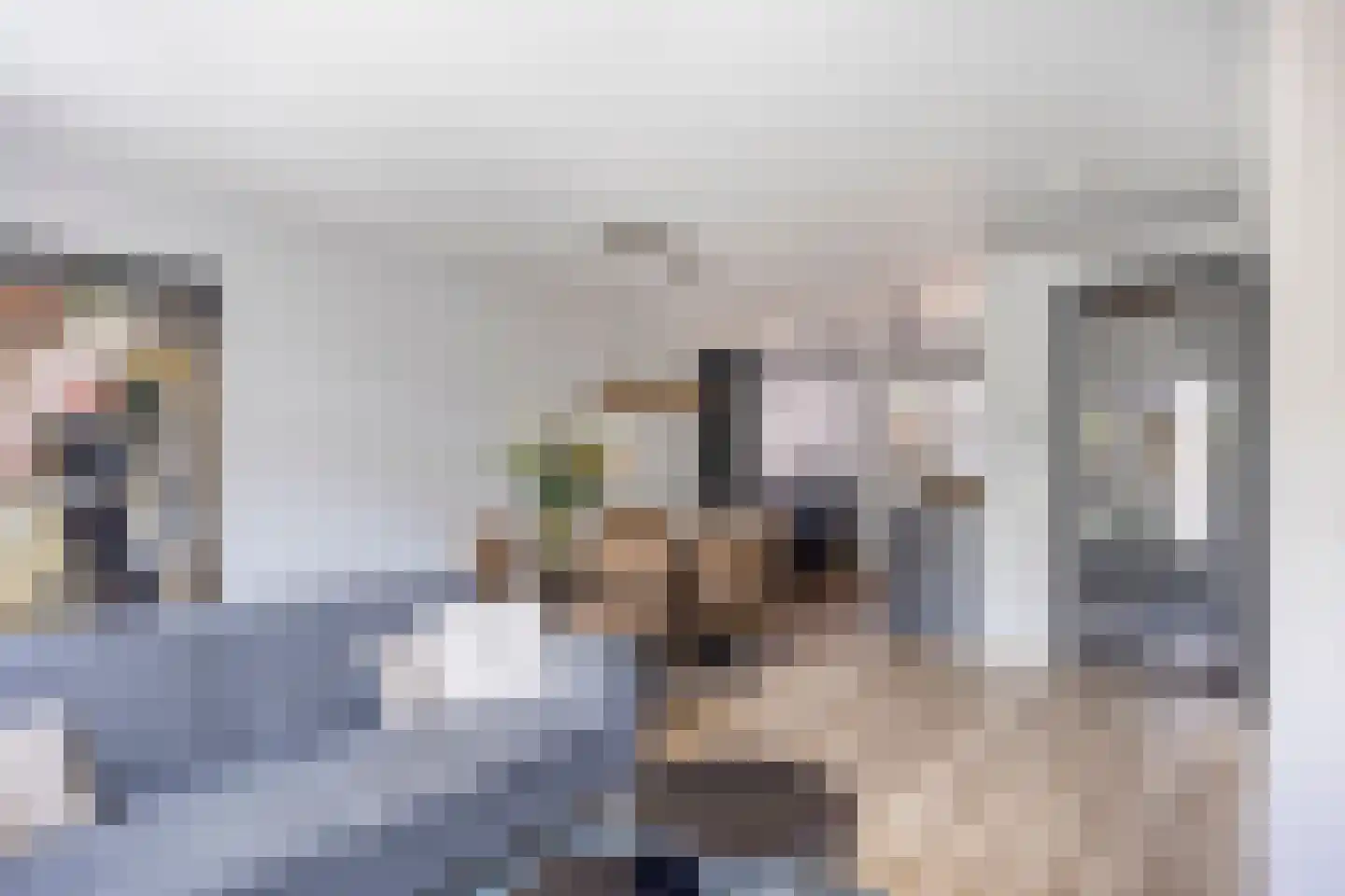 Sportlaan 2 e Gemert thumbnail 9