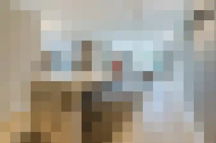Sportlaan 2 f Gemert thumbnail 24