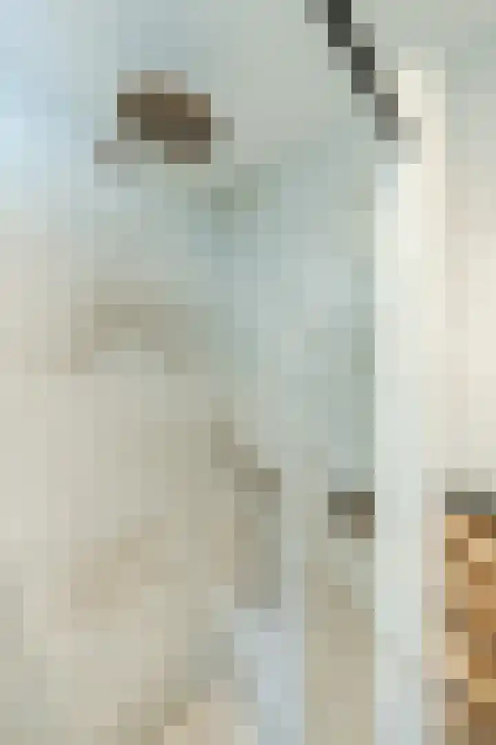 Sportlaan 2 f Gemert thumbnail 43