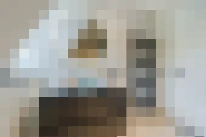Sportlaan 2 f Gemert thumbnail 45