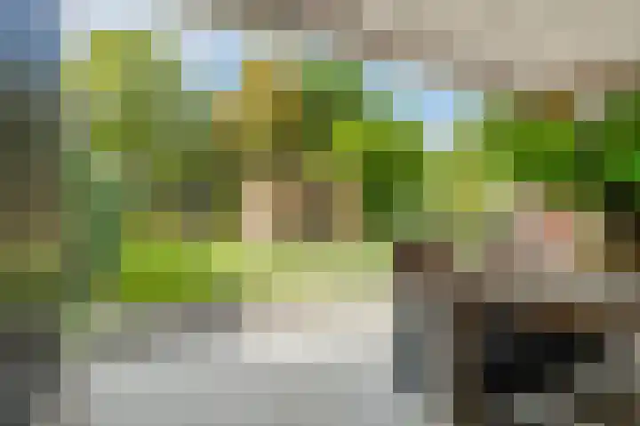 Sportlaan 2 f Gemert thumbnail 55
