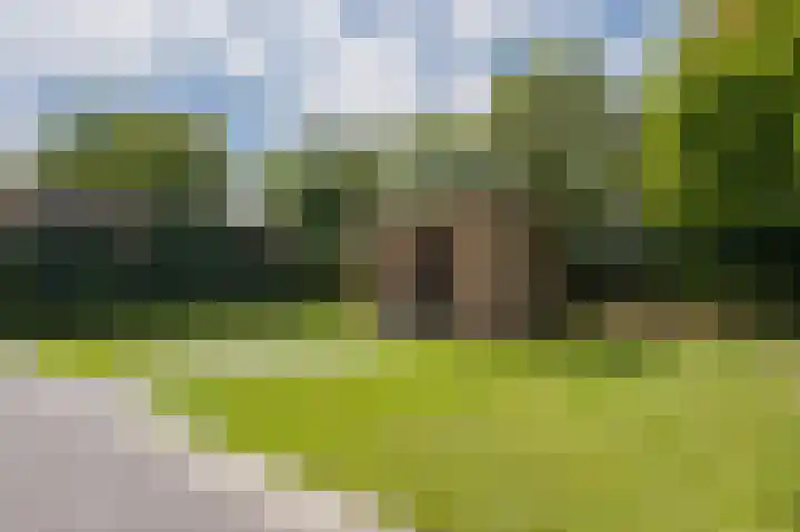 Sportlaan 2 f Gemert thumbnail 56