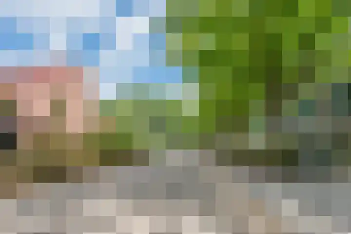 Sportlaan 2 f Gemert thumbnail 61