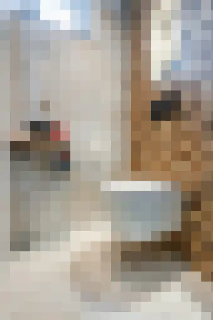Sportlaan 2 f Gemert thumbnail 7