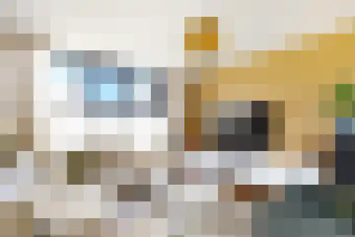 Sportlaan 2 Weurt thumbnail 10