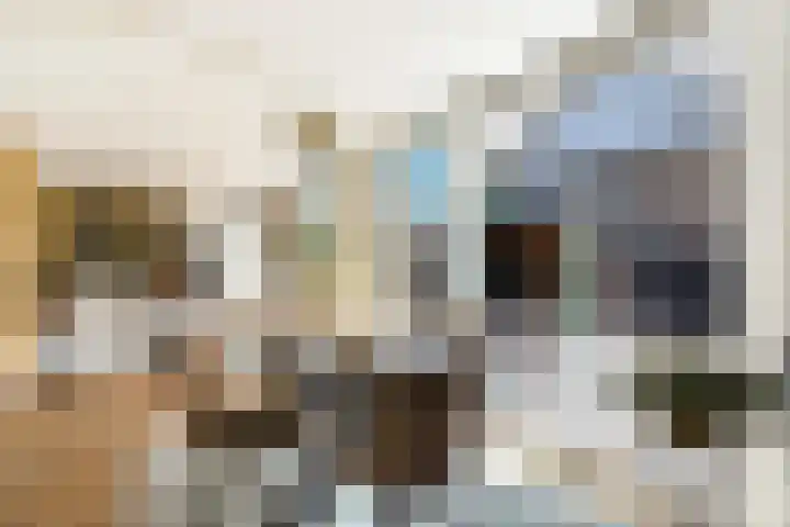 Sportlaan 2 Weurt thumbnail 11