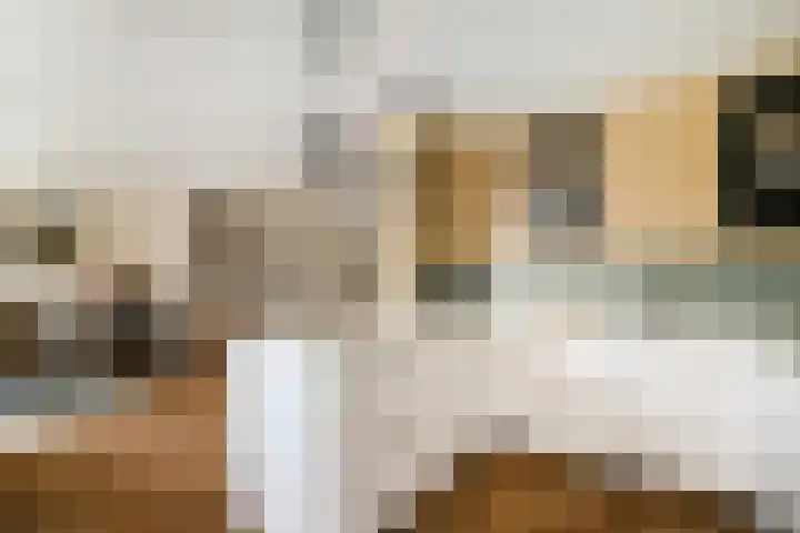 Sportlaan 2 Weurt thumbnail 15
