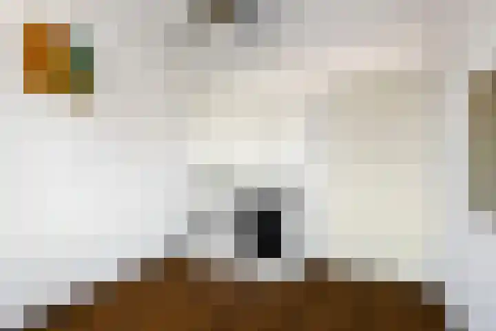 Sportlaan 2 Weurt thumbnail 27