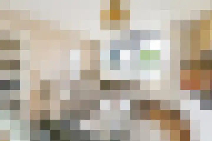 Sportlaan 2 Weurt thumbnail 7