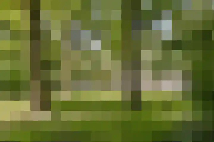 Sportlaan 20 Amstelveen thumbnail 21