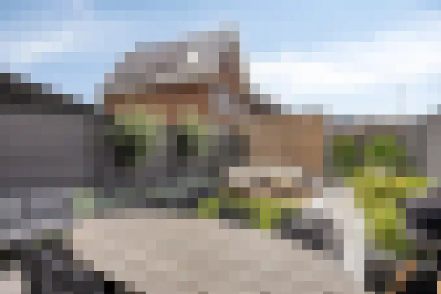 Sportlaan 21 Bergen op Zoom thumbnail 8