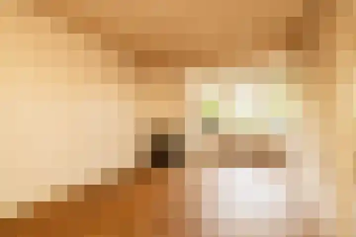 Sportlaan 21 Den Haag thumbnail 11