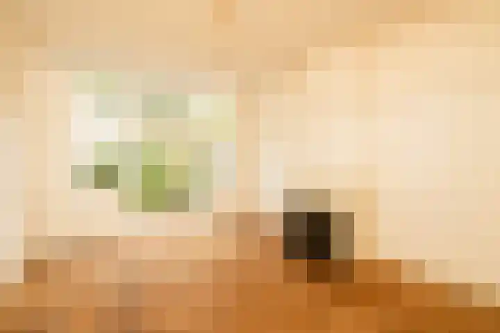 Sportlaan 21 Den Haag thumbnail 18