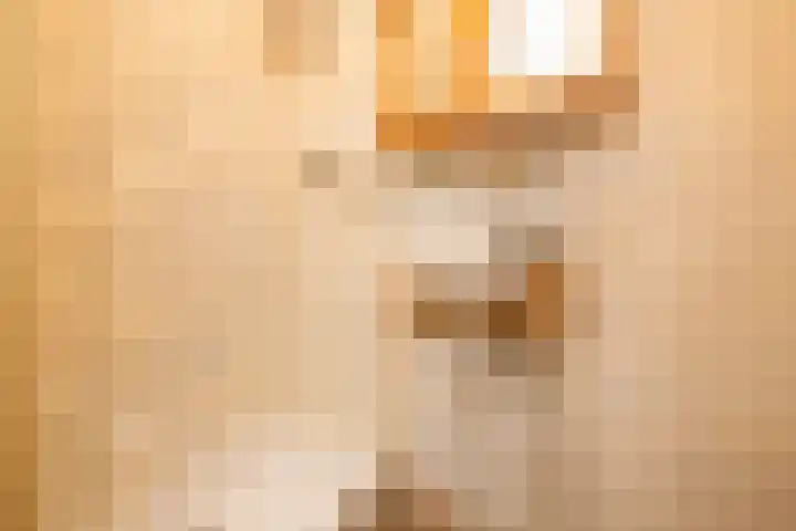Sportlaan 21 Den Haag thumbnail 24