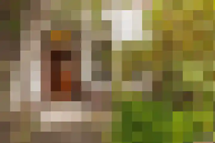 Sportlaan 21 Den Haag thumbnail 4