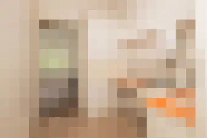 Sportlaan 21 Den Haag thumbnail 54