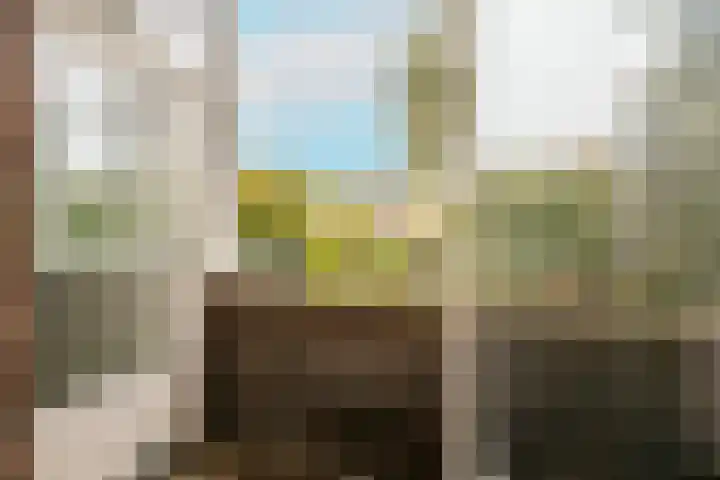 Sportlaan 21 Den Haag thumbnail 58