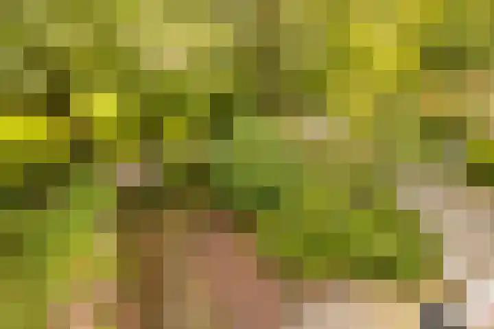 Sportlaan 21 Den Haag thumbnail 60