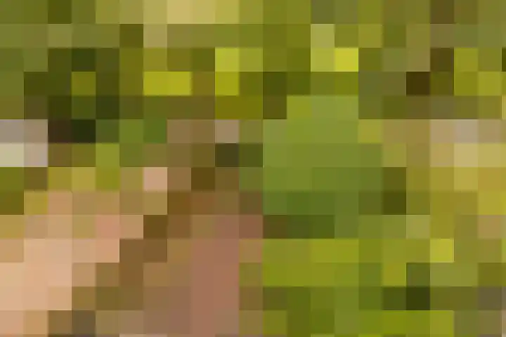 Sportlaan 21 Den Haag thumbnail 61