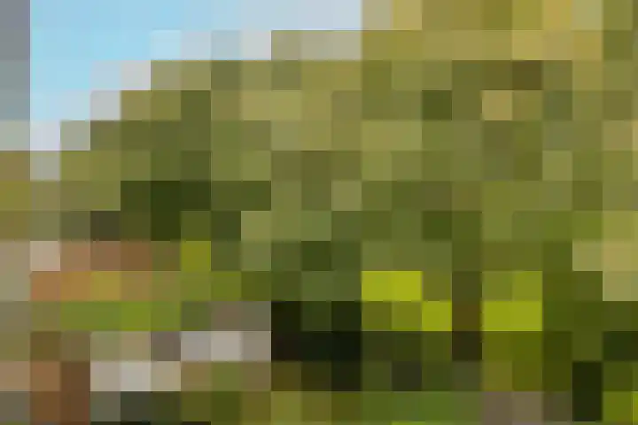 Sportlaan 21 Den Haag thumbnail 63