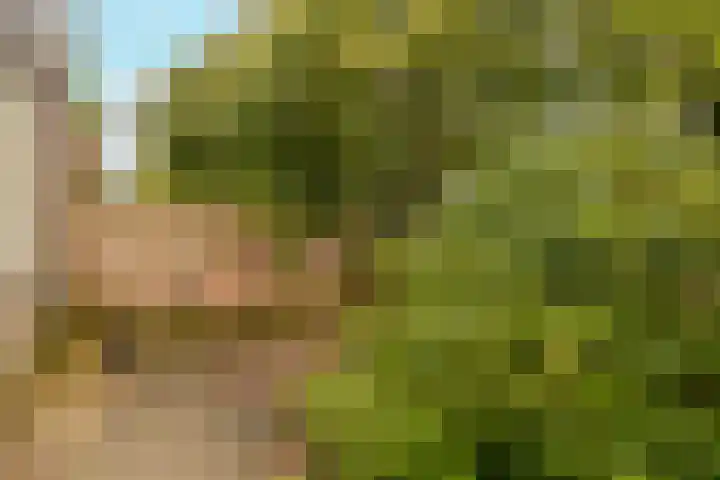 Sportlaan 21 Den Haag thumbnail 64