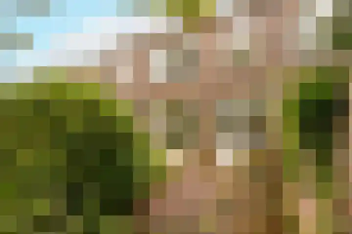 Sportlaan 21 Den Haag thumbnail 65
