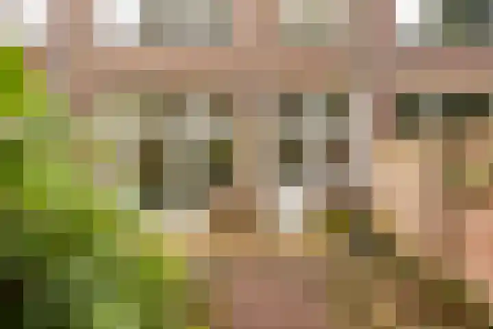 Sportlaan 21 Den Haag thumbnail 66