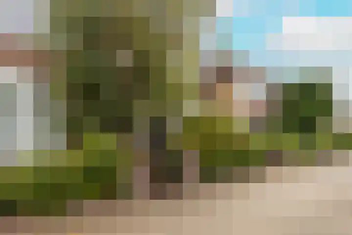 Sportlaan 21 Den Haag thumbnail 68