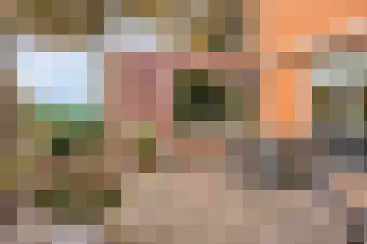Sportlaan 21 Wolvega thumbnail 25