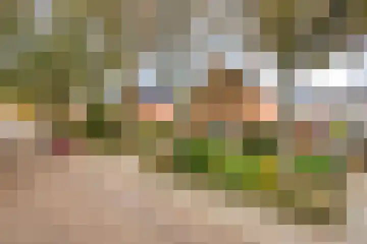 Sportlaan 21 Wolvega thumbnail 30