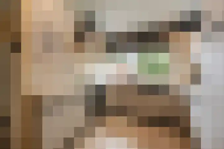 Sportlaan 22 Klaaswaal thumbnail 10