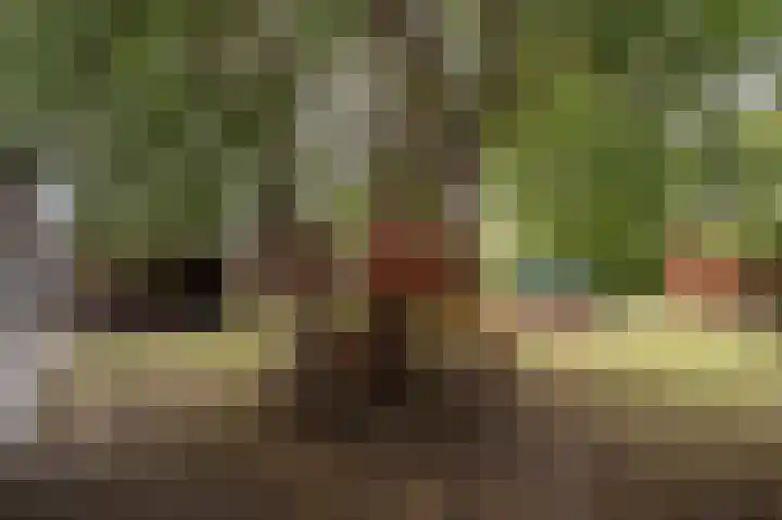 Sportlaan 22 Klaaswaal thumbnail 22