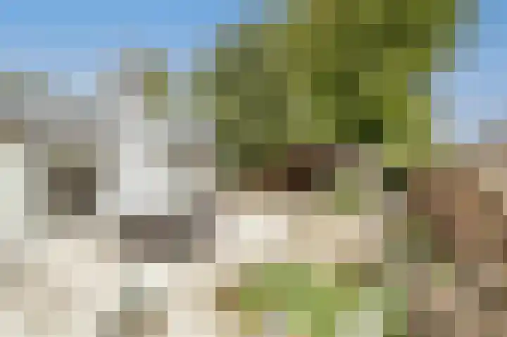 Sportlaan 22 Klaaswaal thumbnail 33